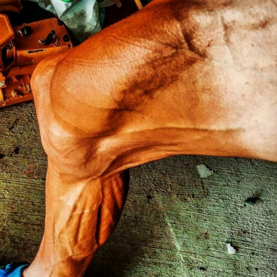 Muscular cyclist leg logo